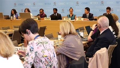 WTO ska granska amerikanska skattelättnader enligt lagen om inflationsredukti...