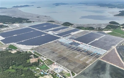 Sydkorea lanserar 1GW Solar Tender med strängare kolkolstandarder och lägre p...